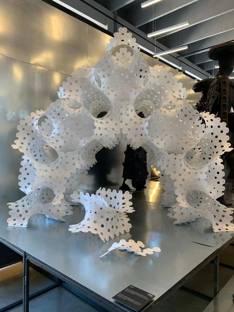 MINIPLEX Vlad Tenu RDW 2020 1.JPG