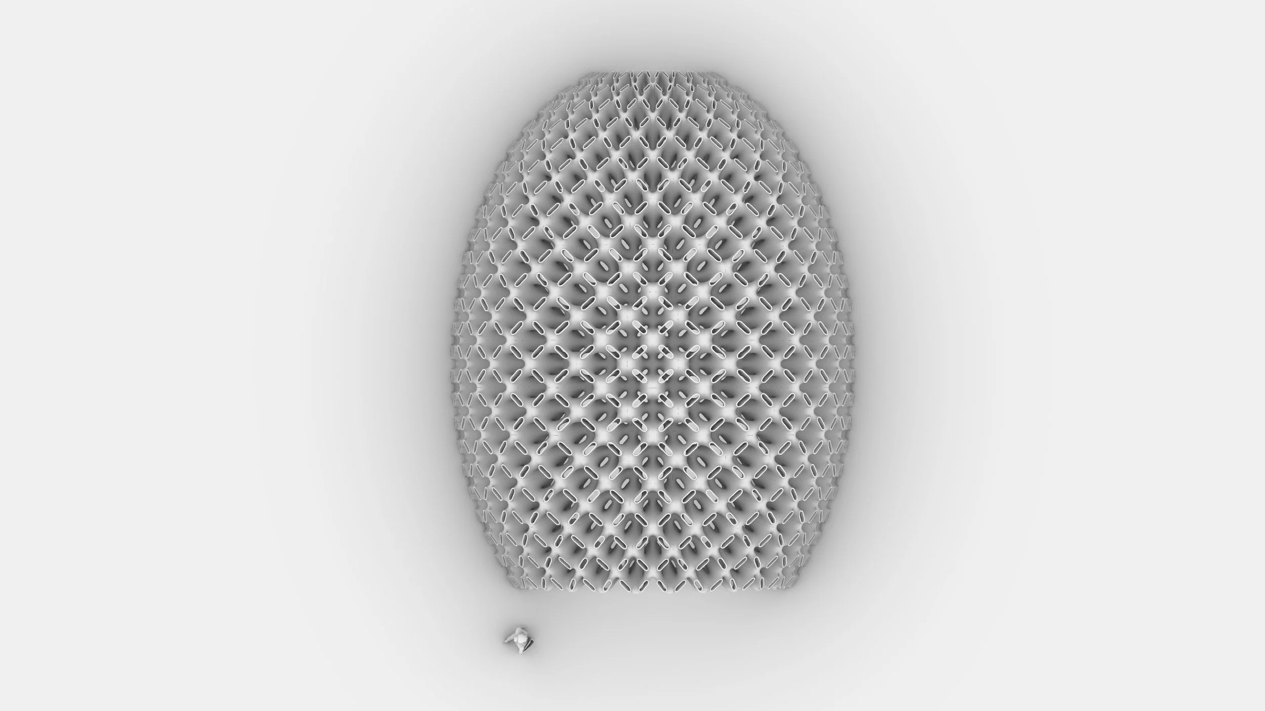03 FLUID STONE_N_VLAD_TENU_IGLOO 03.jpg
