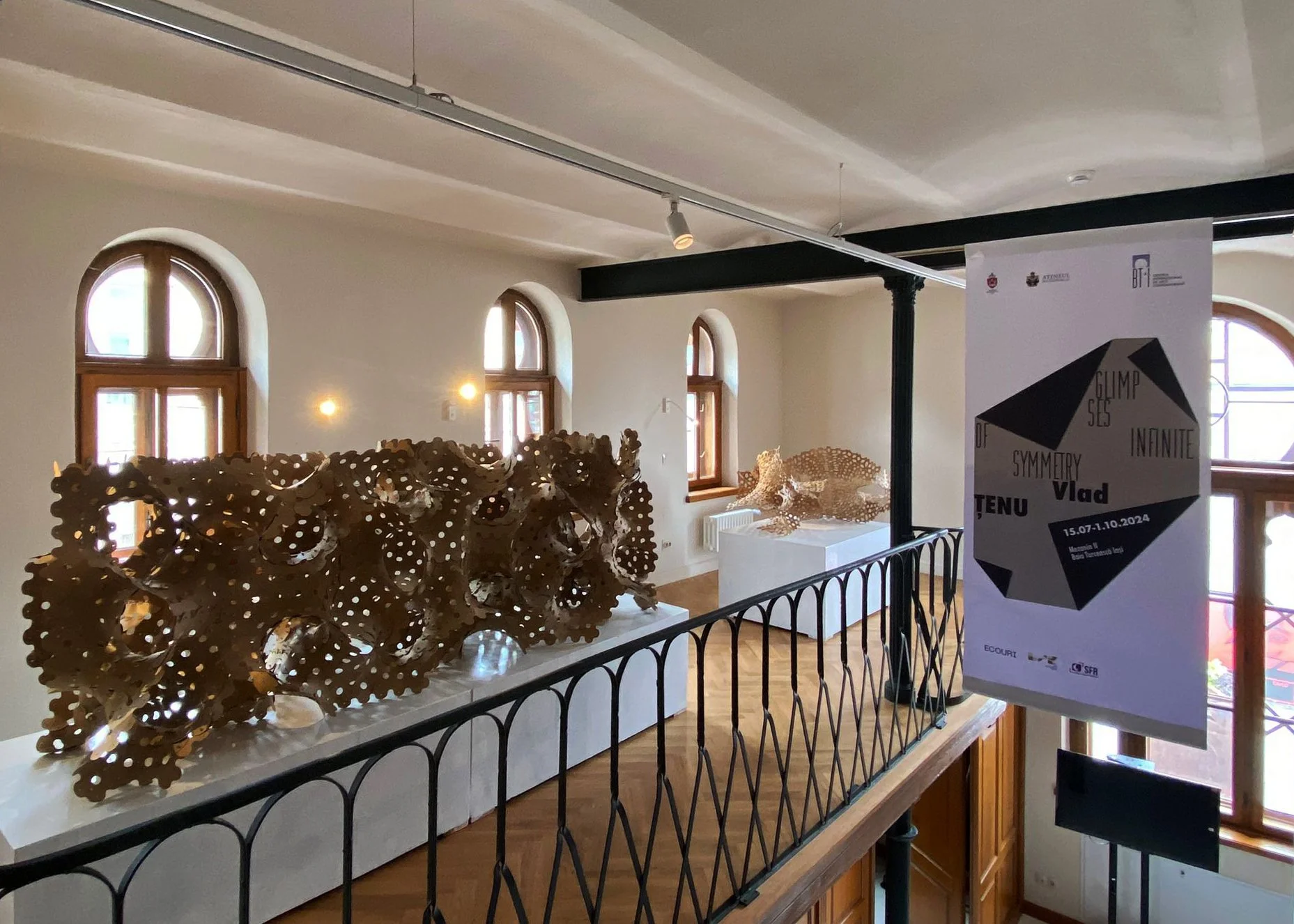 Infinite Loops Vlad Tenu_Iasi_01.jpg