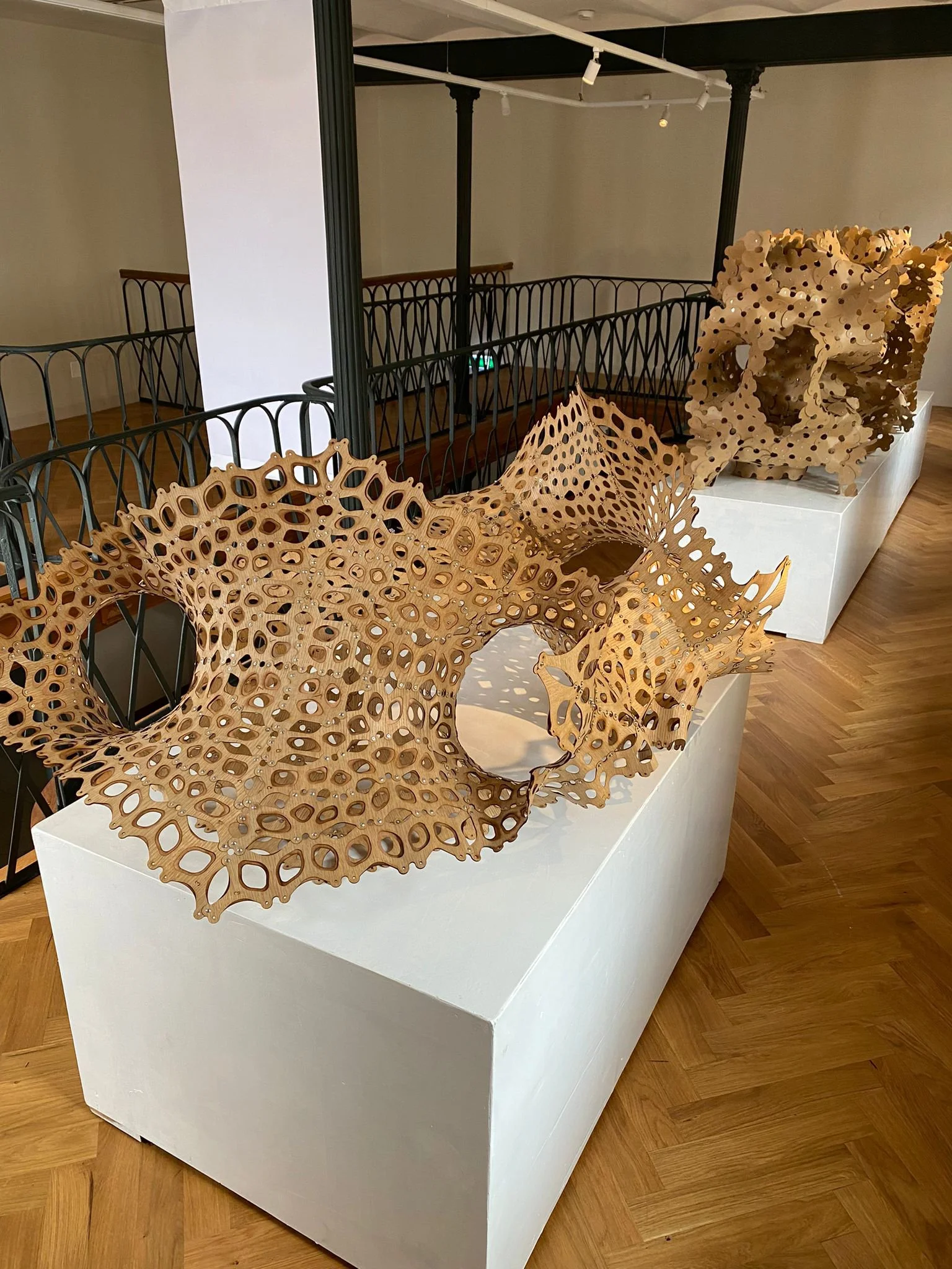 Infinite Loops Vlad Tenu_Iasi_05.jpg