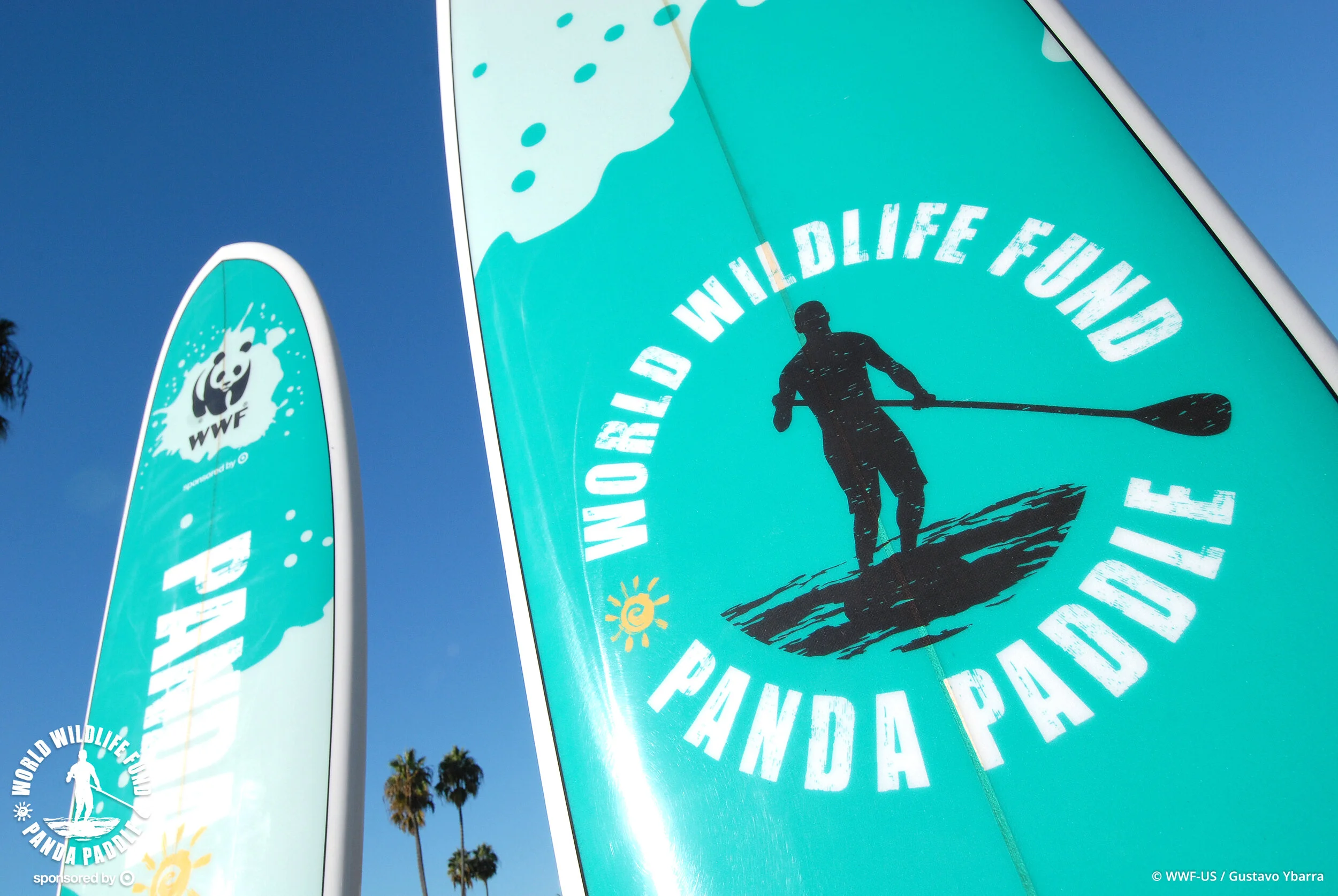 PP surfboard detail.JPG