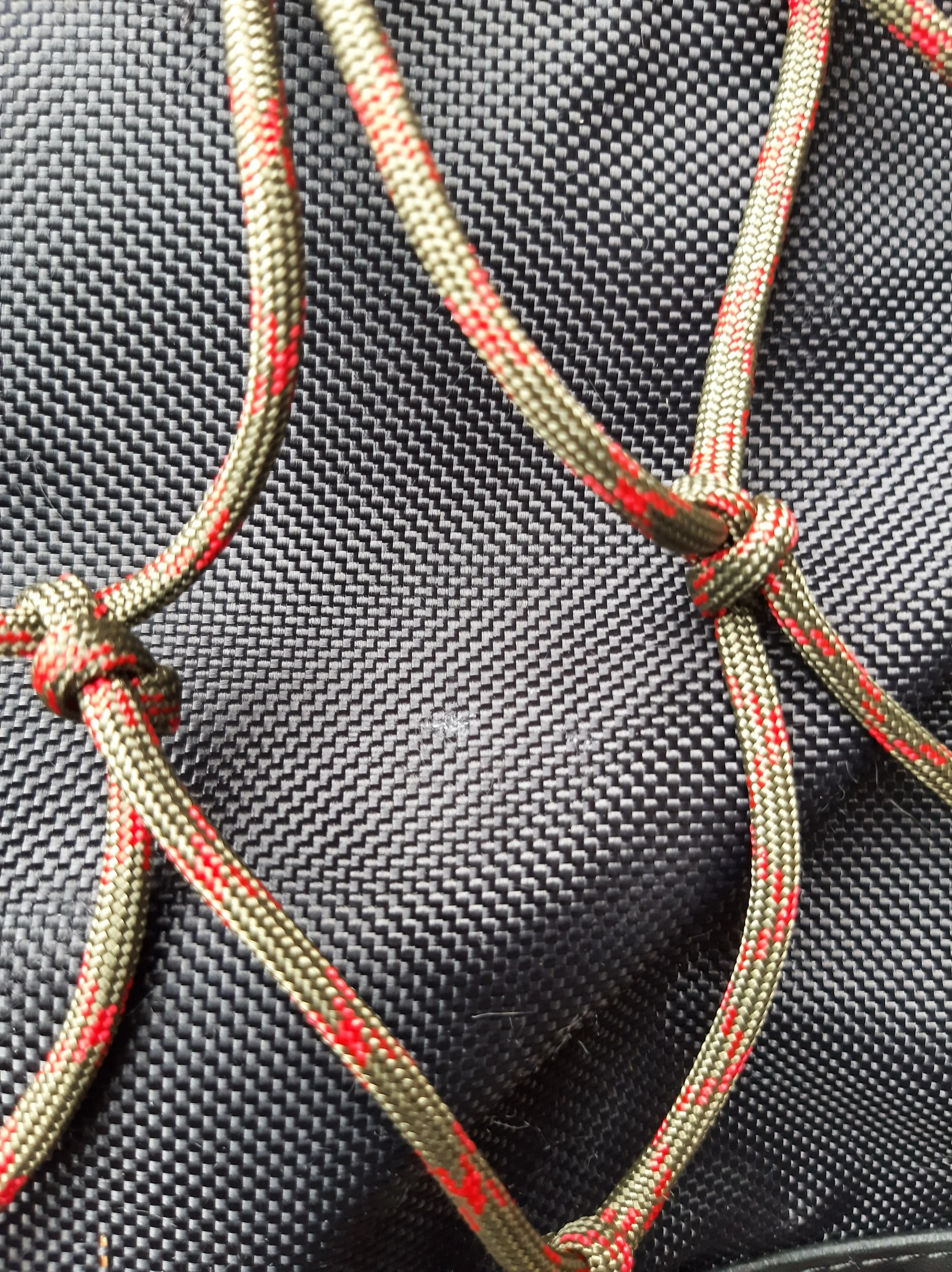 processed_20240603_093948.jpg