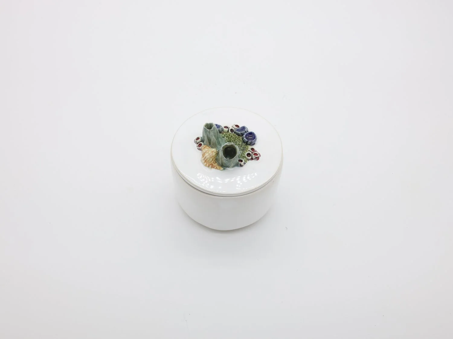 CX-Reef-pintada 002.jpg