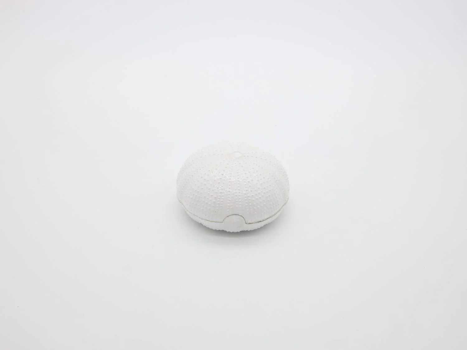 GJ branco foto1.jpg