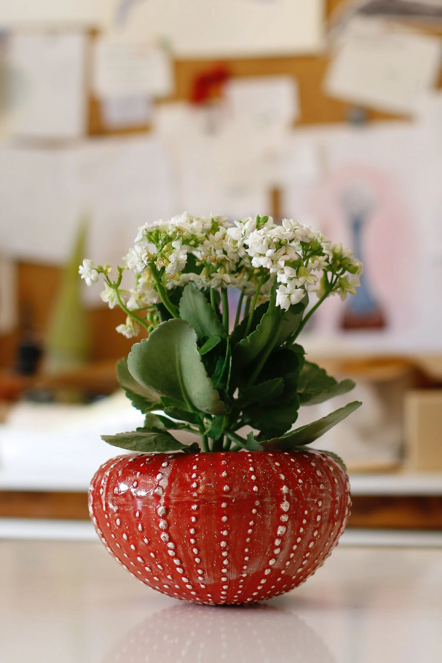 Ouriço do mar vermelho em cerâmica, com planta, em cima de mesa no atelier