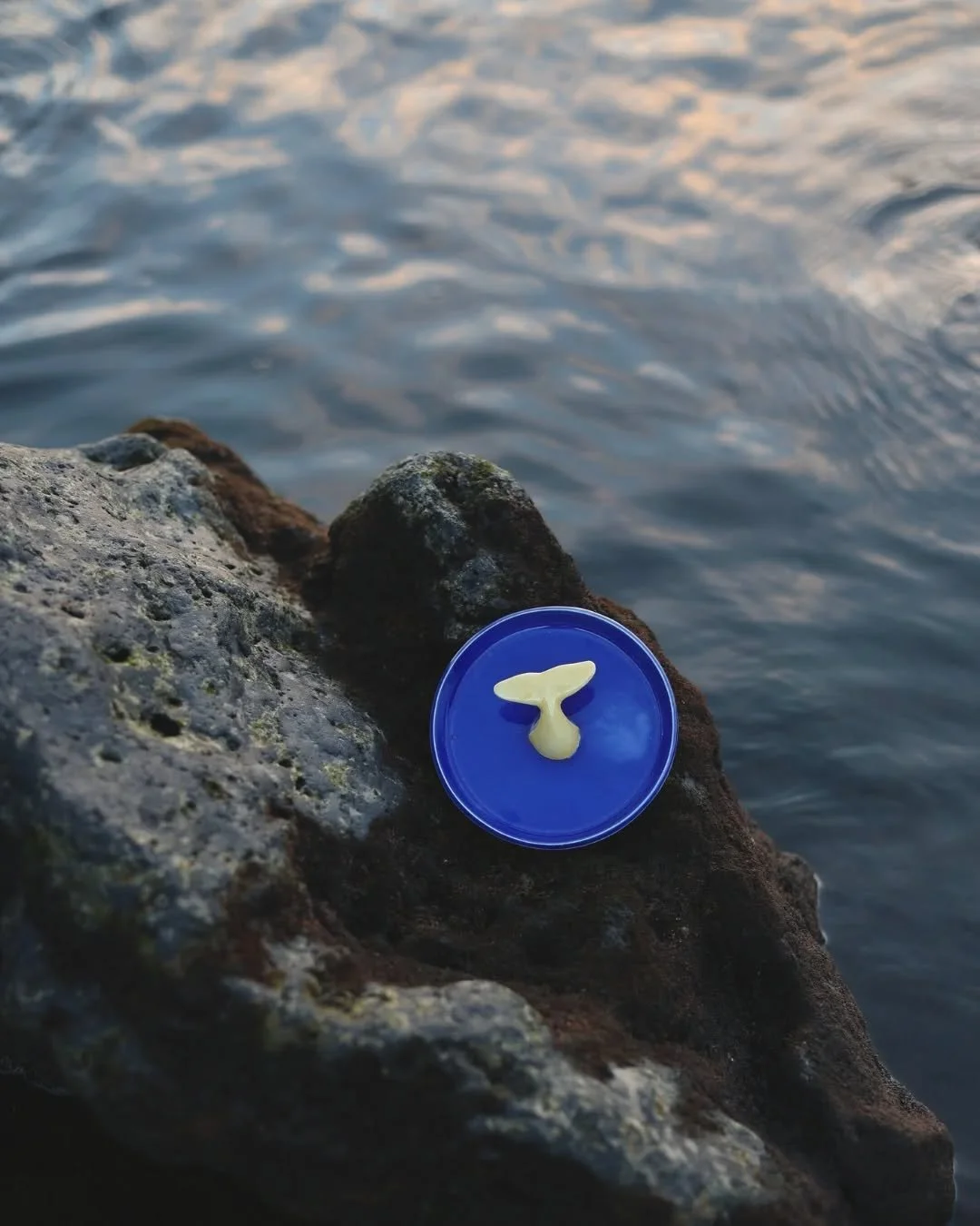 Prato Cauda no chamado azul azulejo, t&atilde;o portugu&ecirc;s. 💙 Pe&ccedil;a brevemente dispon&iacute;vel em dois tamanhos e v&aacute;rias cores.

#portugueseceramics #oceanlover #azores