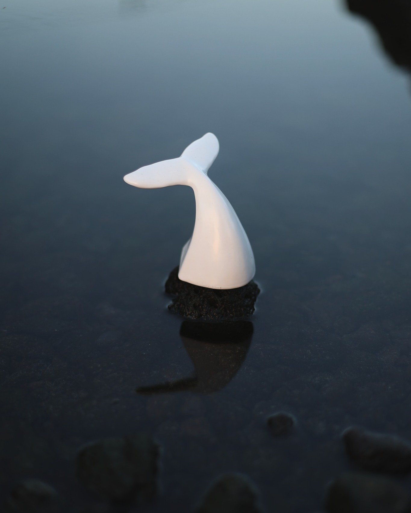 Uma forma ic&oacute;nica do atelier.
A Cauda de Baleia, um reflexo do mar e da minha paix&atilde;o pela natureza, transformada em cer&acirc;mica.
Um s&iacute;mbolo, uma liga&ccedil;&atilde;o, um peda&ccedil;o de oceano. 🌊