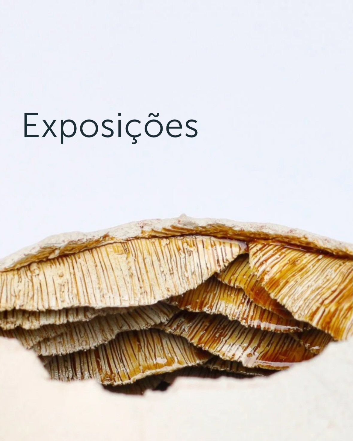 H&aacute; exposi&ccedil;&otilde;es que terminam. Mas as mem&oacute;rias que deixam continuam comigo.
Ao longo dos &uacute;ltimos anos tive a oportunidade de apresentar o meu trabalho em diferentes espa&ccedil;os, explorar novos conceitos e mostrar pe