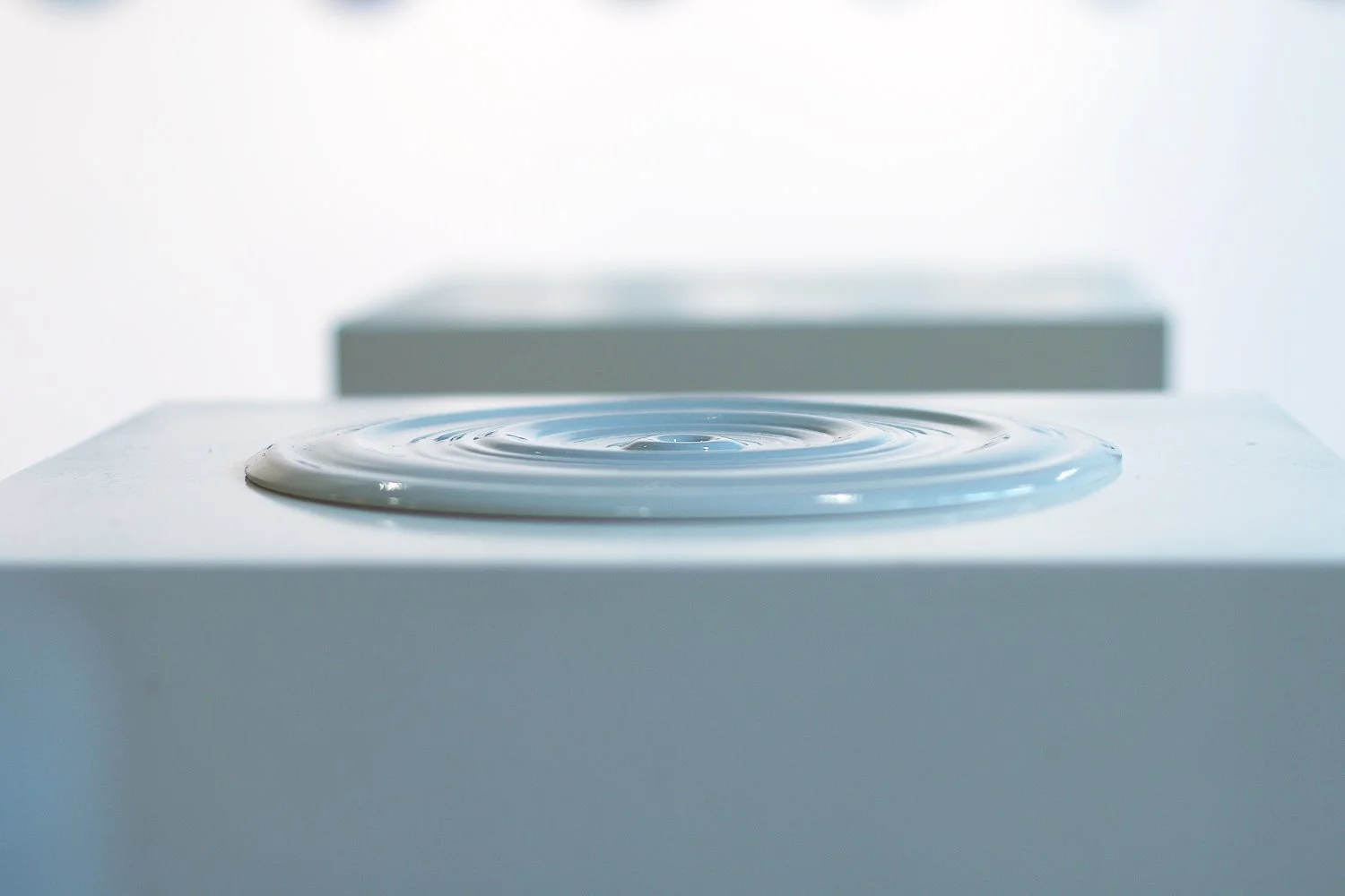 expo-excertos-2021-liquid-5.jpg
