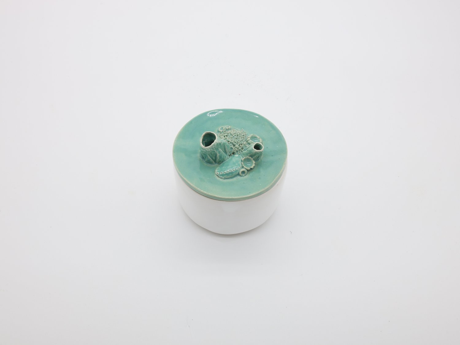 CX-Reef-turquesa 001.jpg