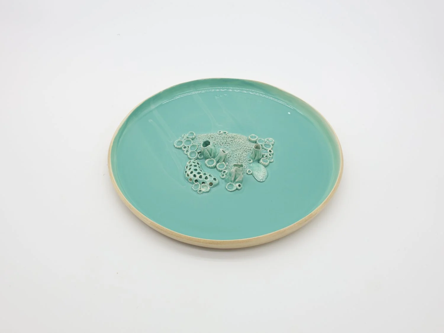 prato recife 001 foto 3.jpg