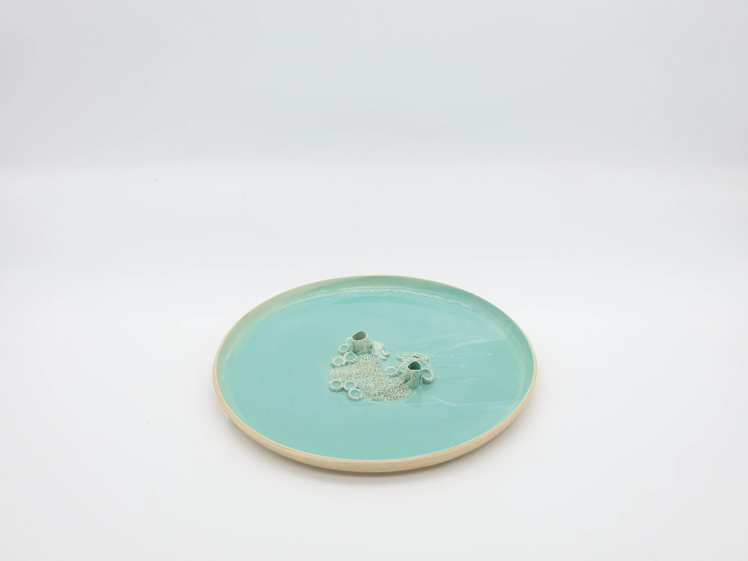 prato recife 002 foto 2