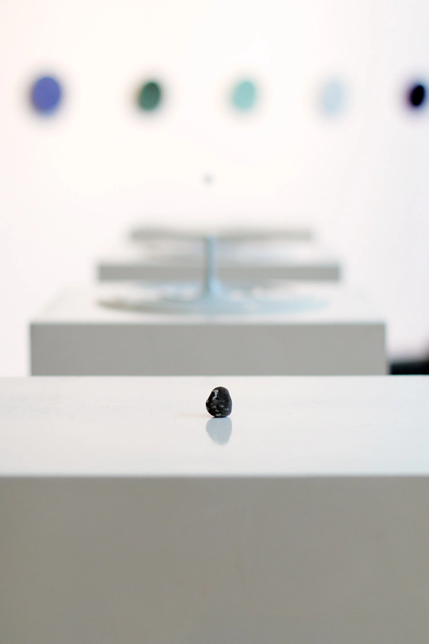 expo-excertos-2021-liquid-1.jpg