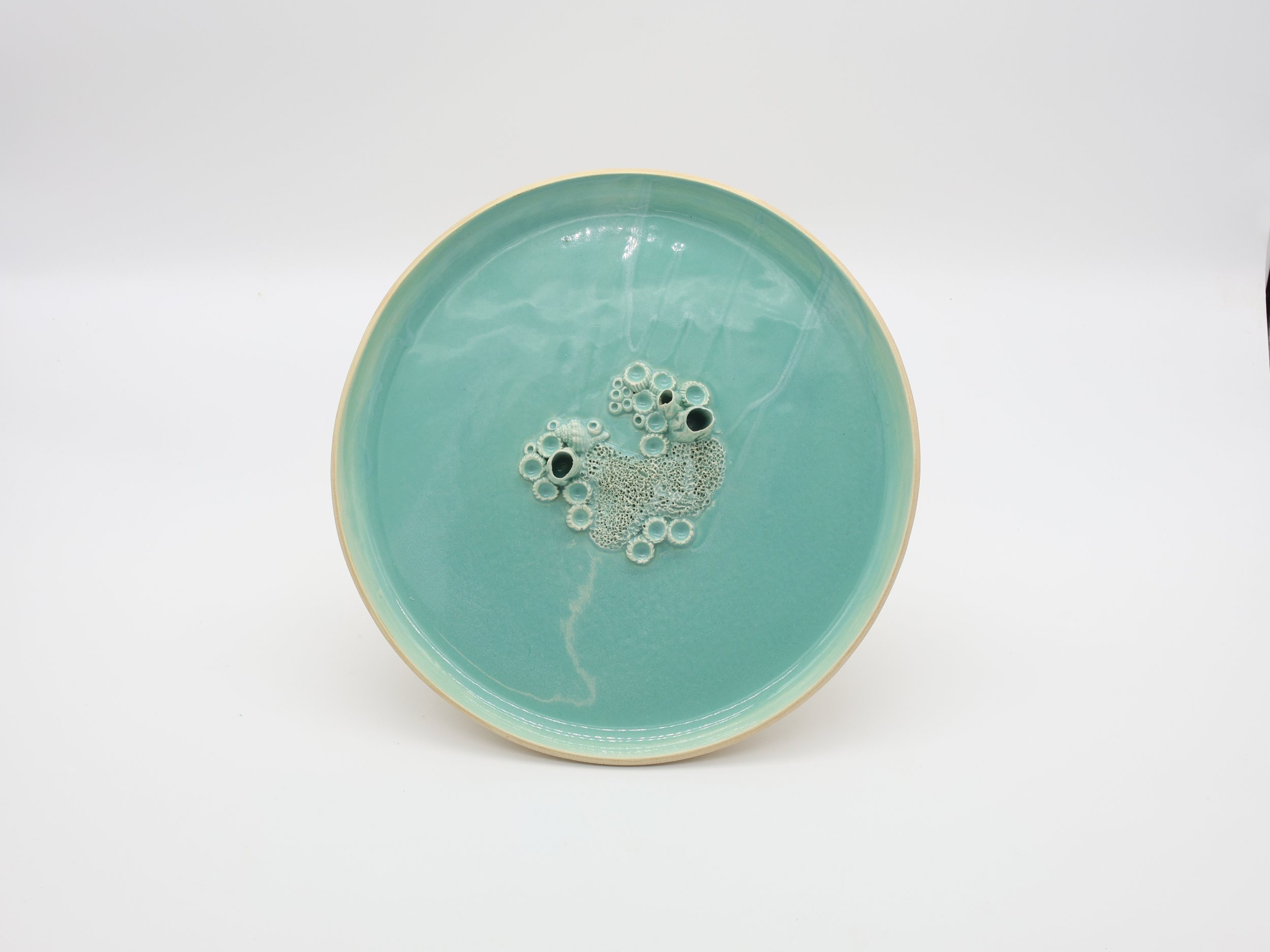 prato recife 002 foto 1