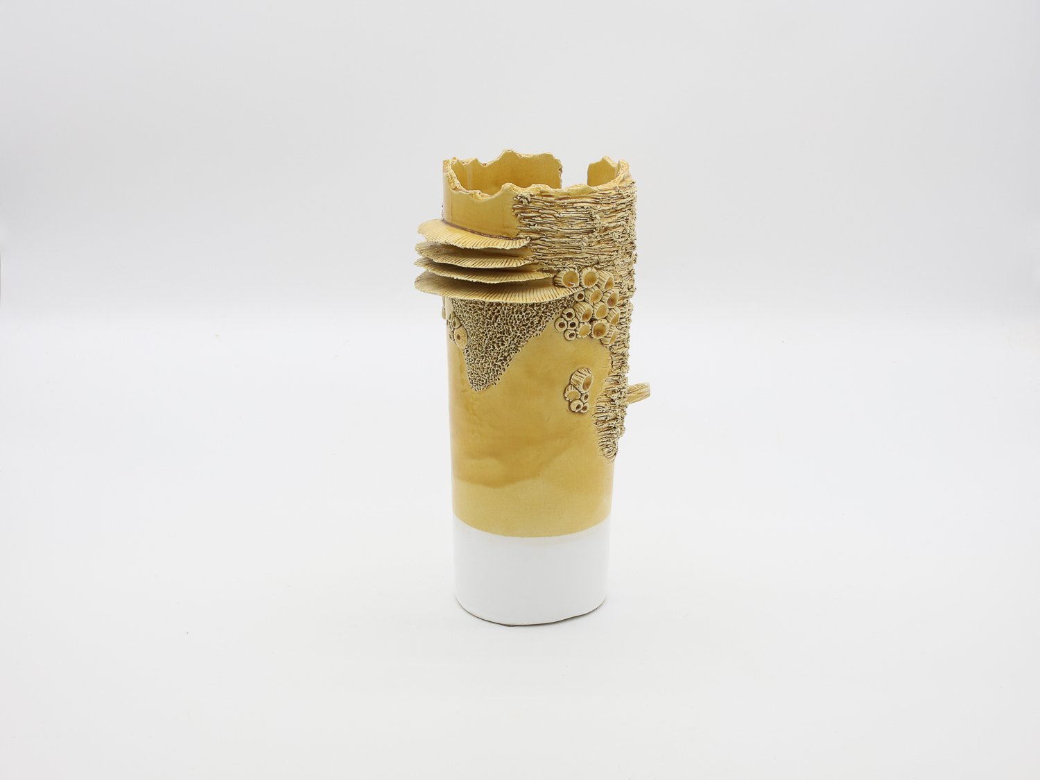 Jarra Recife - Edição Especial