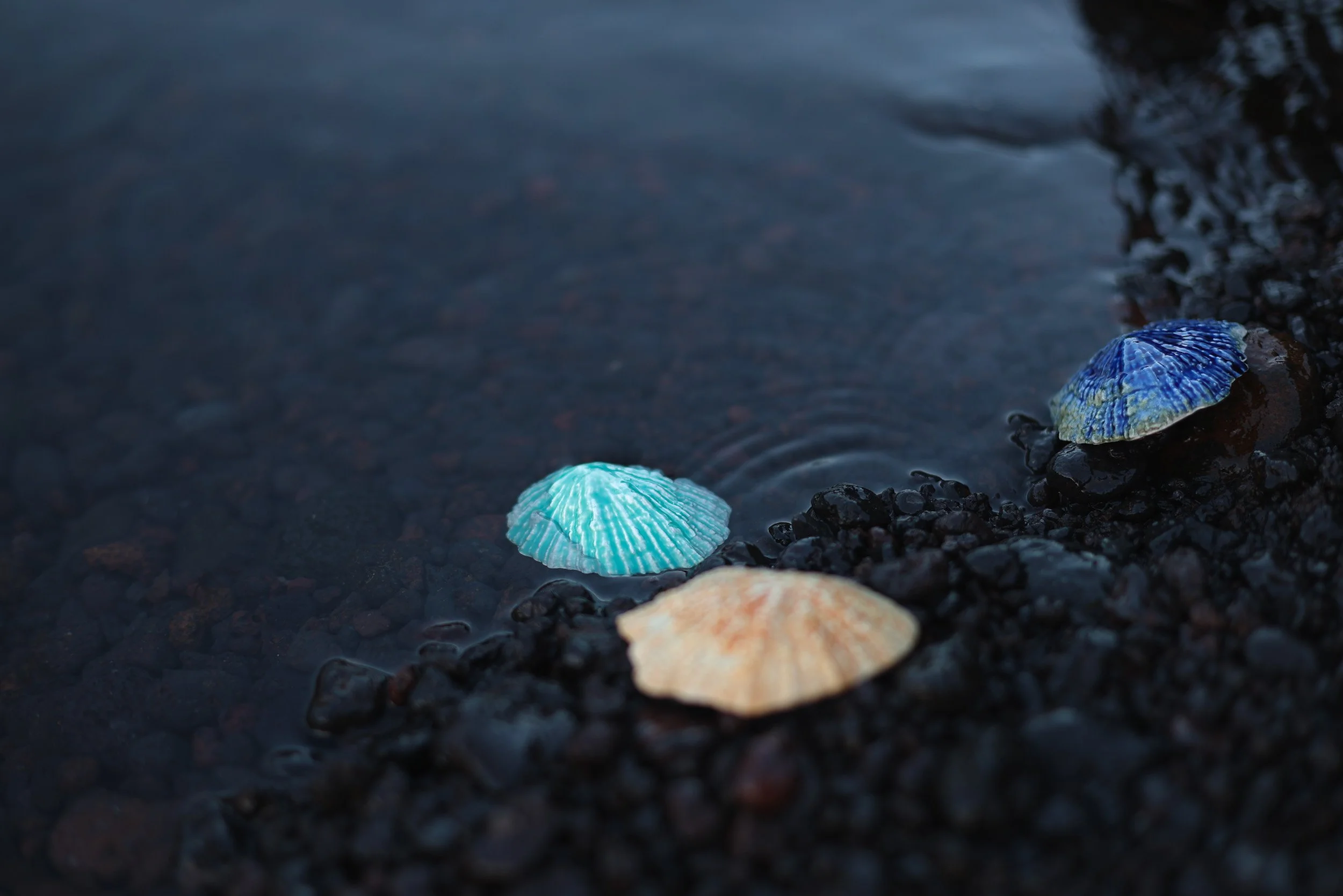 Lapas coloridas em cerâmica, em cima de rocha vulcânica frente ao mar