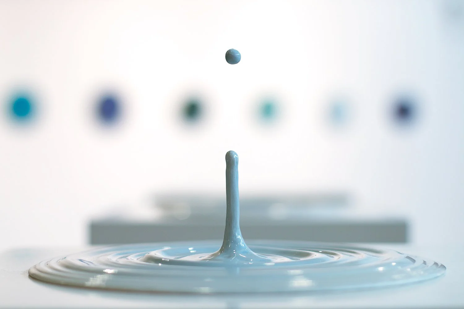 expo-excertos-2021-liquid-7.jpg