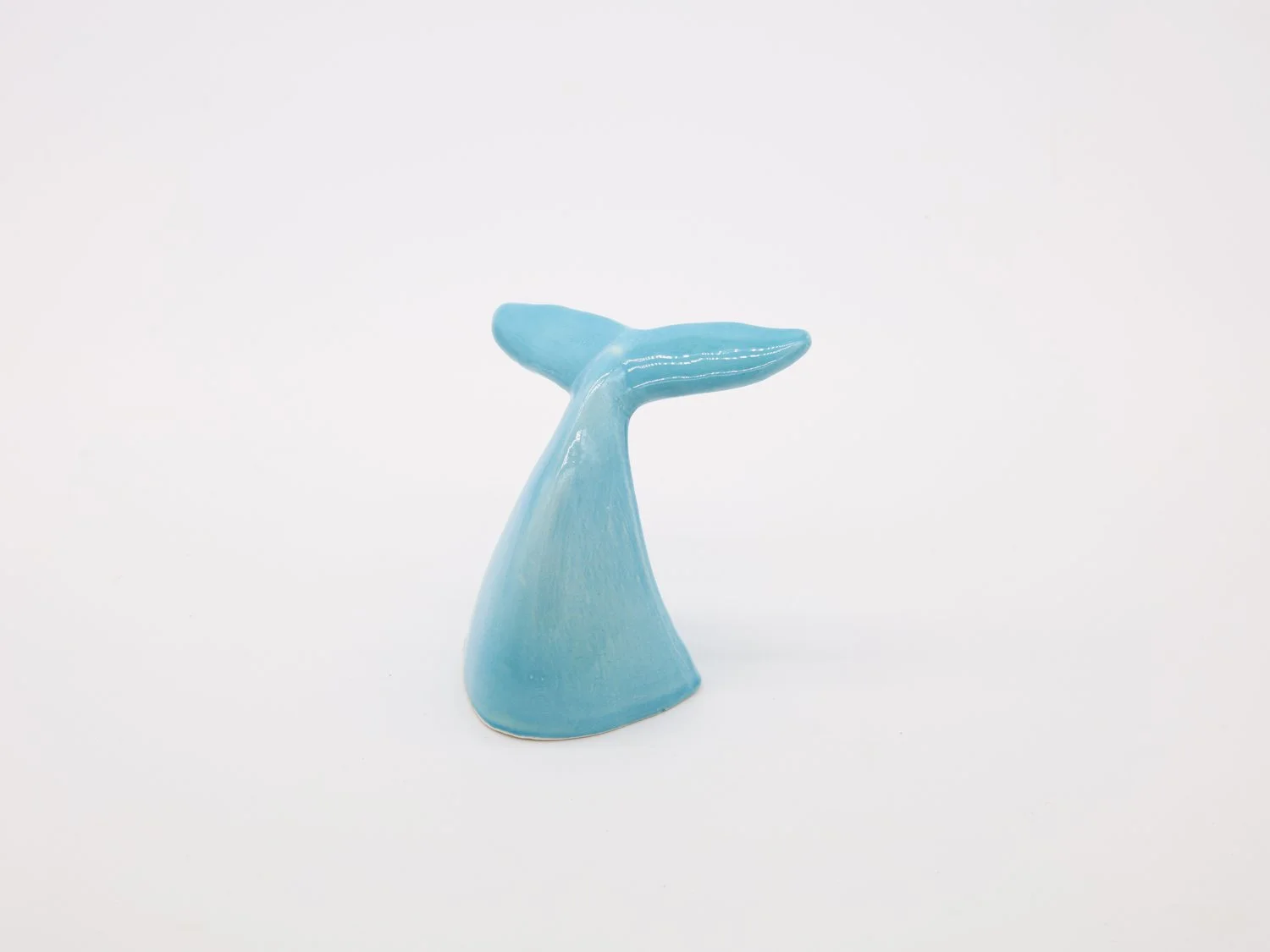 cauda M azul agua.jpg