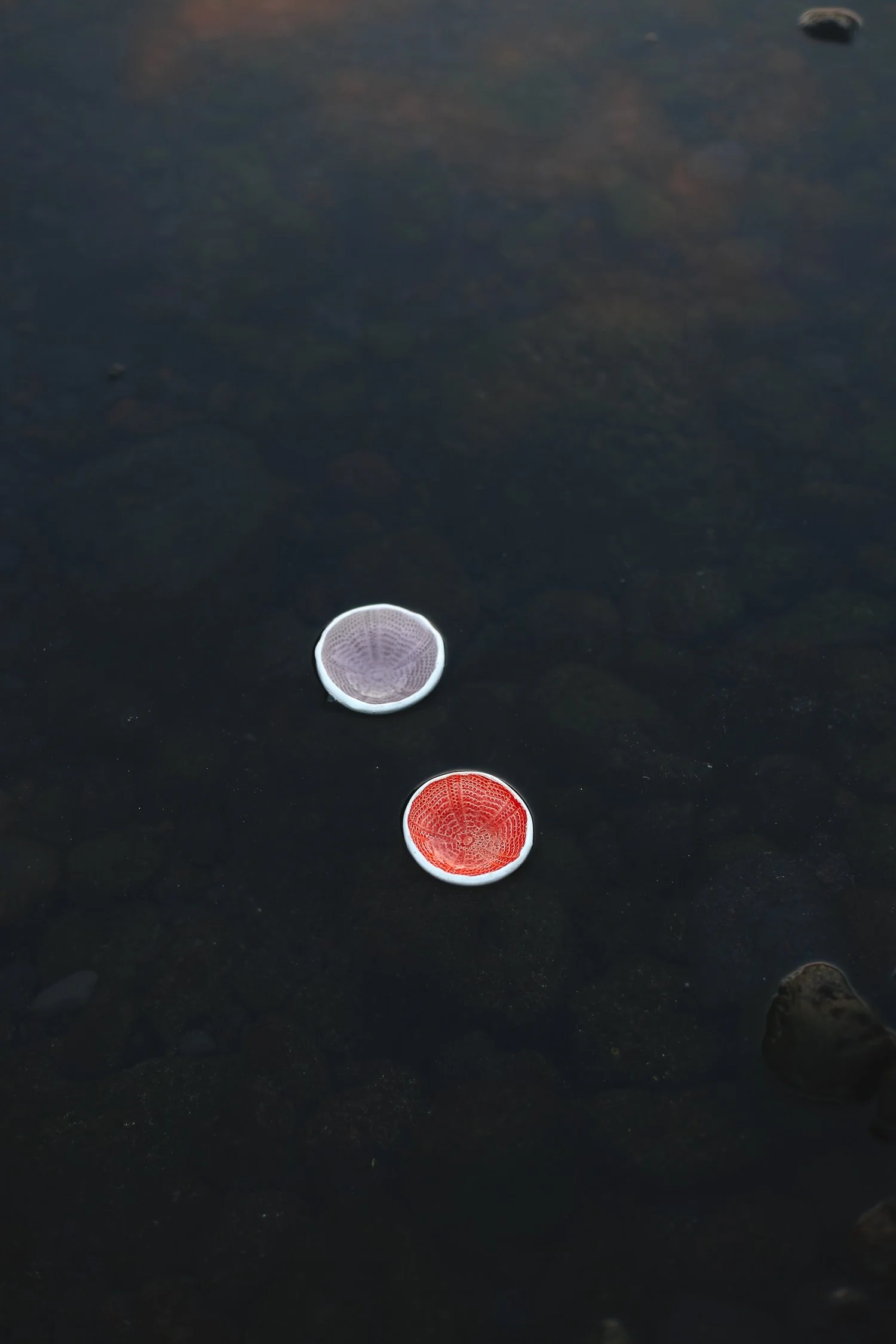 Duas tacinhas em formato ouriço do mar em cerâmica, uma com o interior lilás e outra vermelho, fotografadas no mar