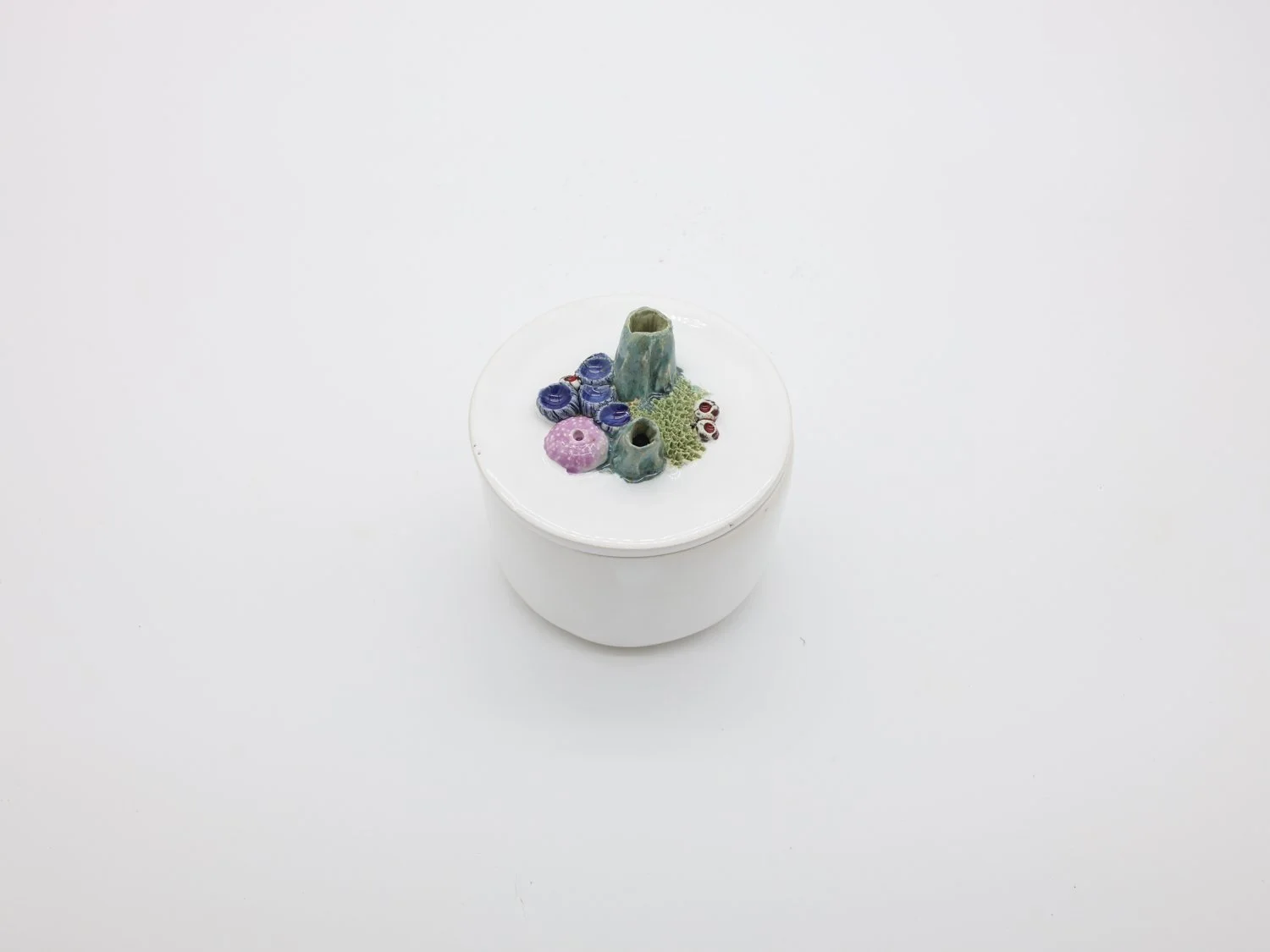 Caixa Recife - Edição Especial