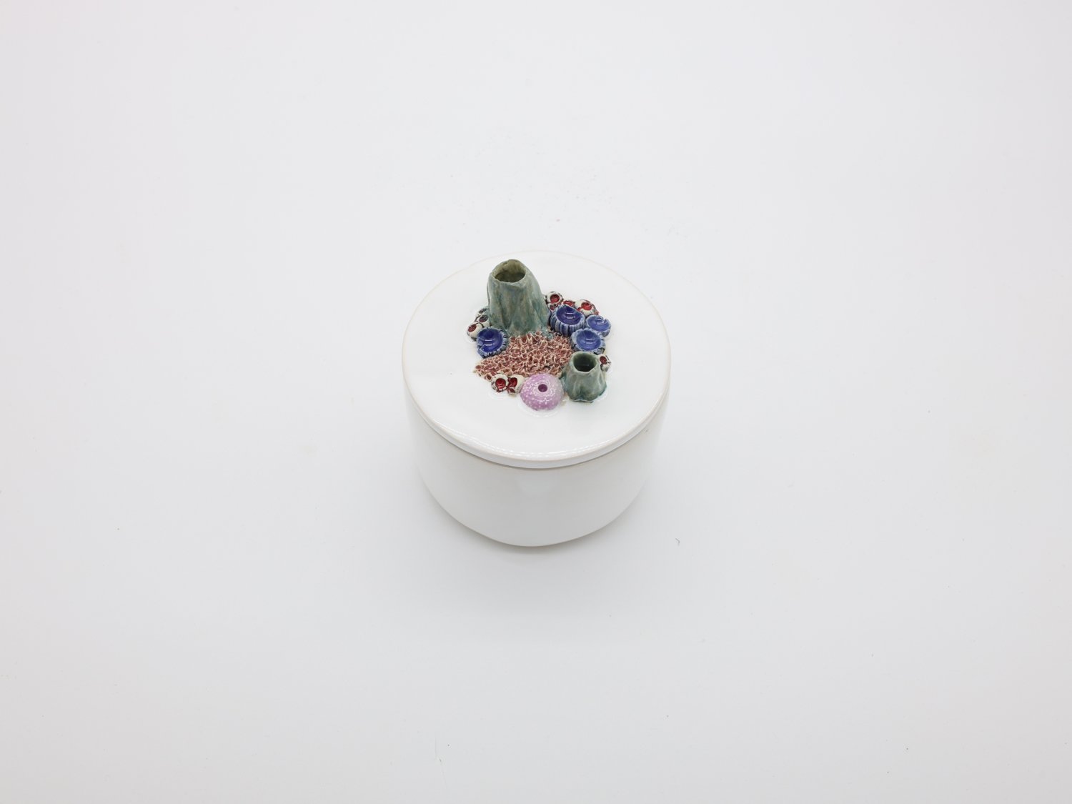 CX-Reef-pintada 003.jpg