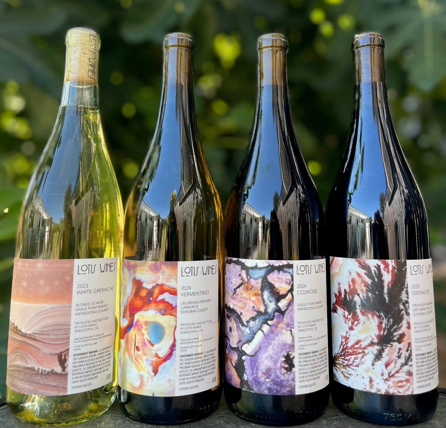 Fall Sampler Case (12 bottles) - 10% off + Free Shipping or Delivery