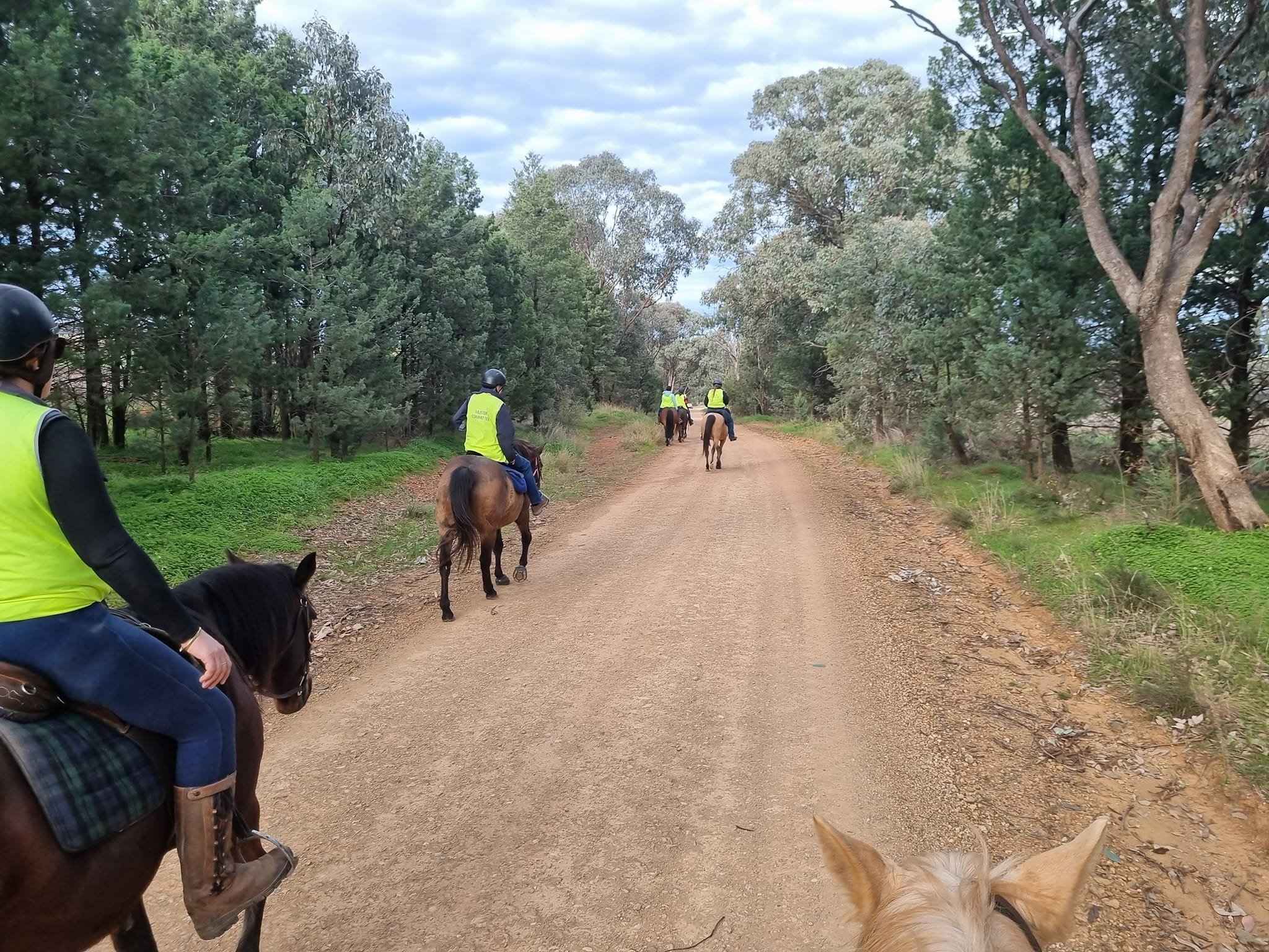 Quandong pre ride_1.jpg