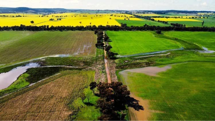 Weddin district flooding_2.jpg