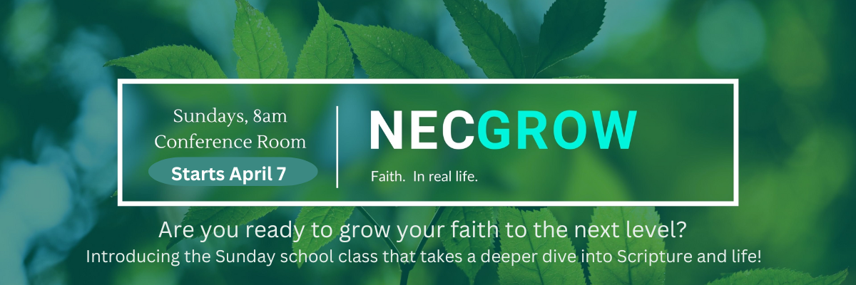 NEC Grow Slide (1200 x 400 px).png