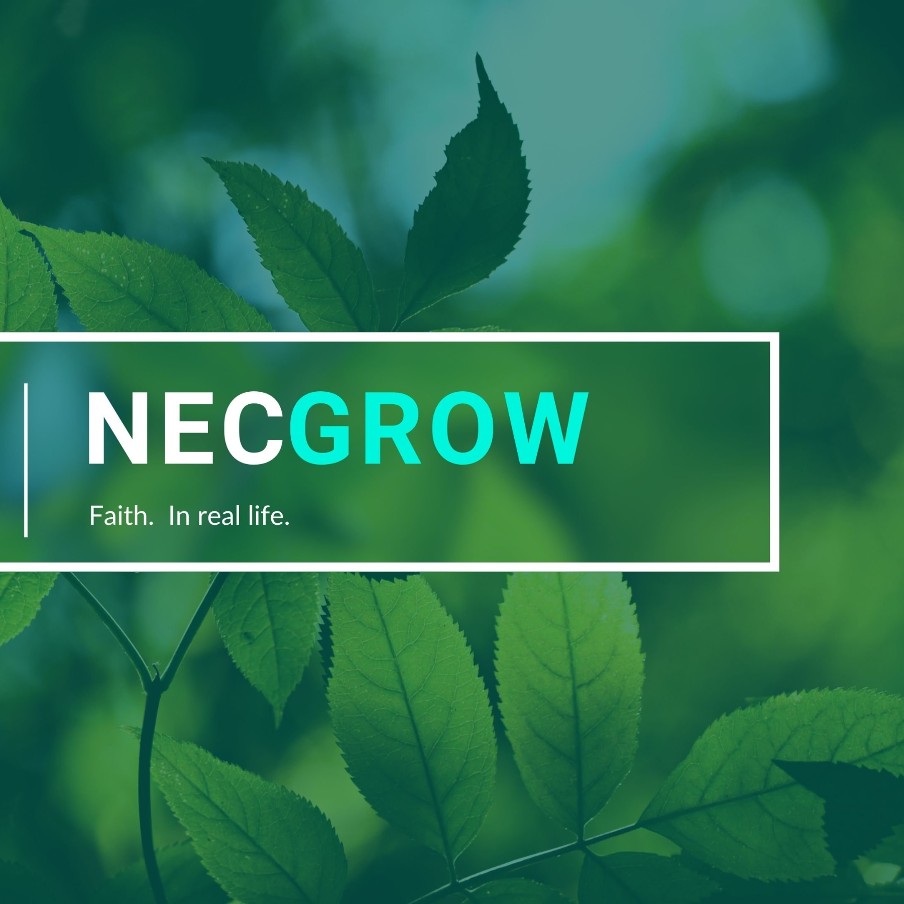 NEC Grow Returns April 7