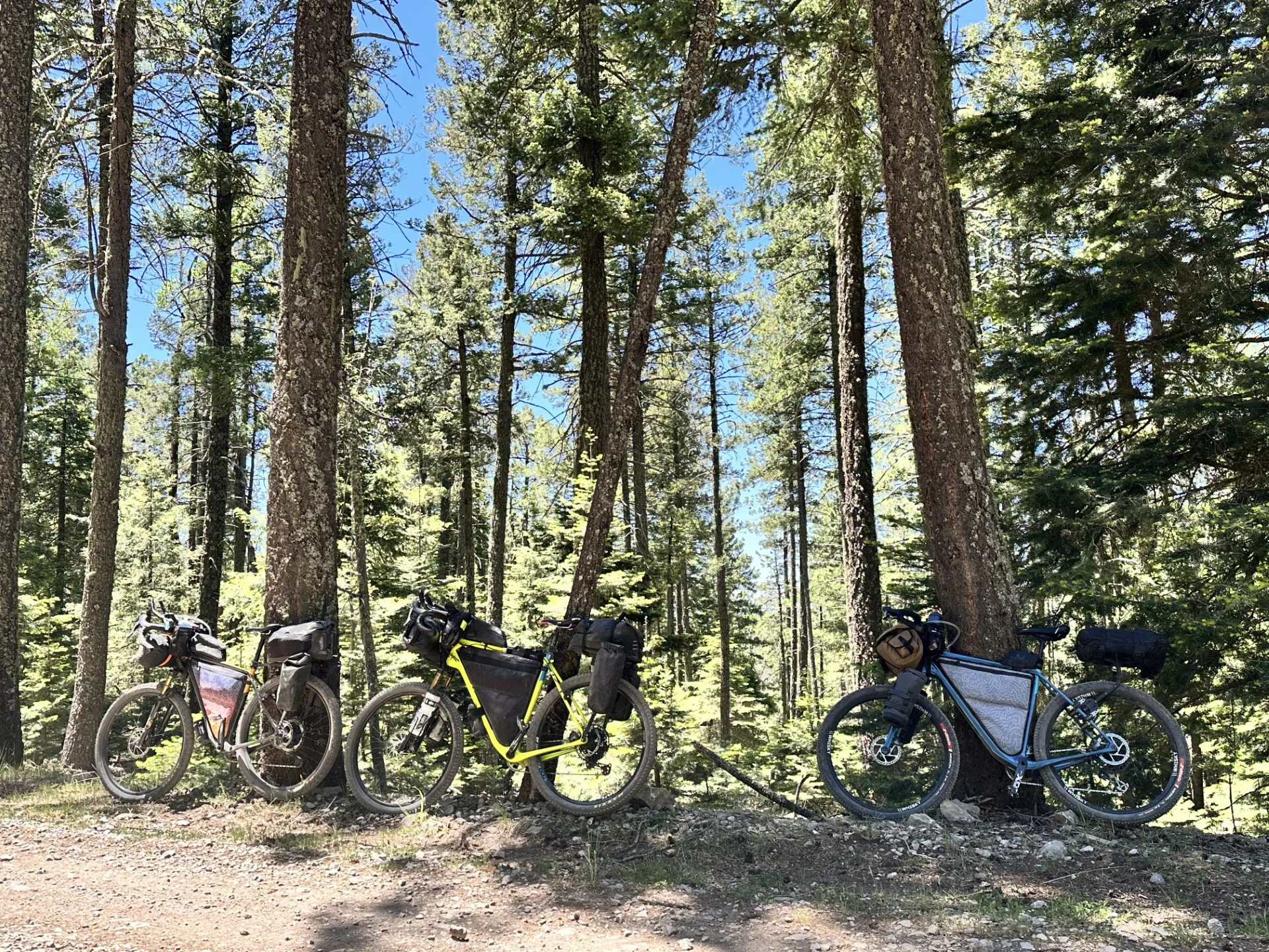 The DRY Run… 