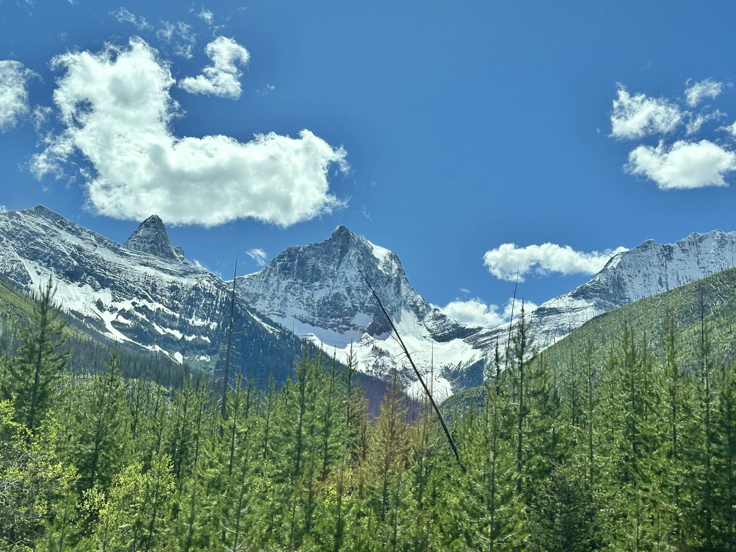 The long and winding road to Canada