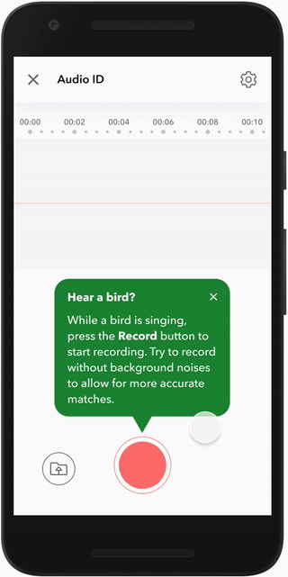 recording-audiosuccess.gif