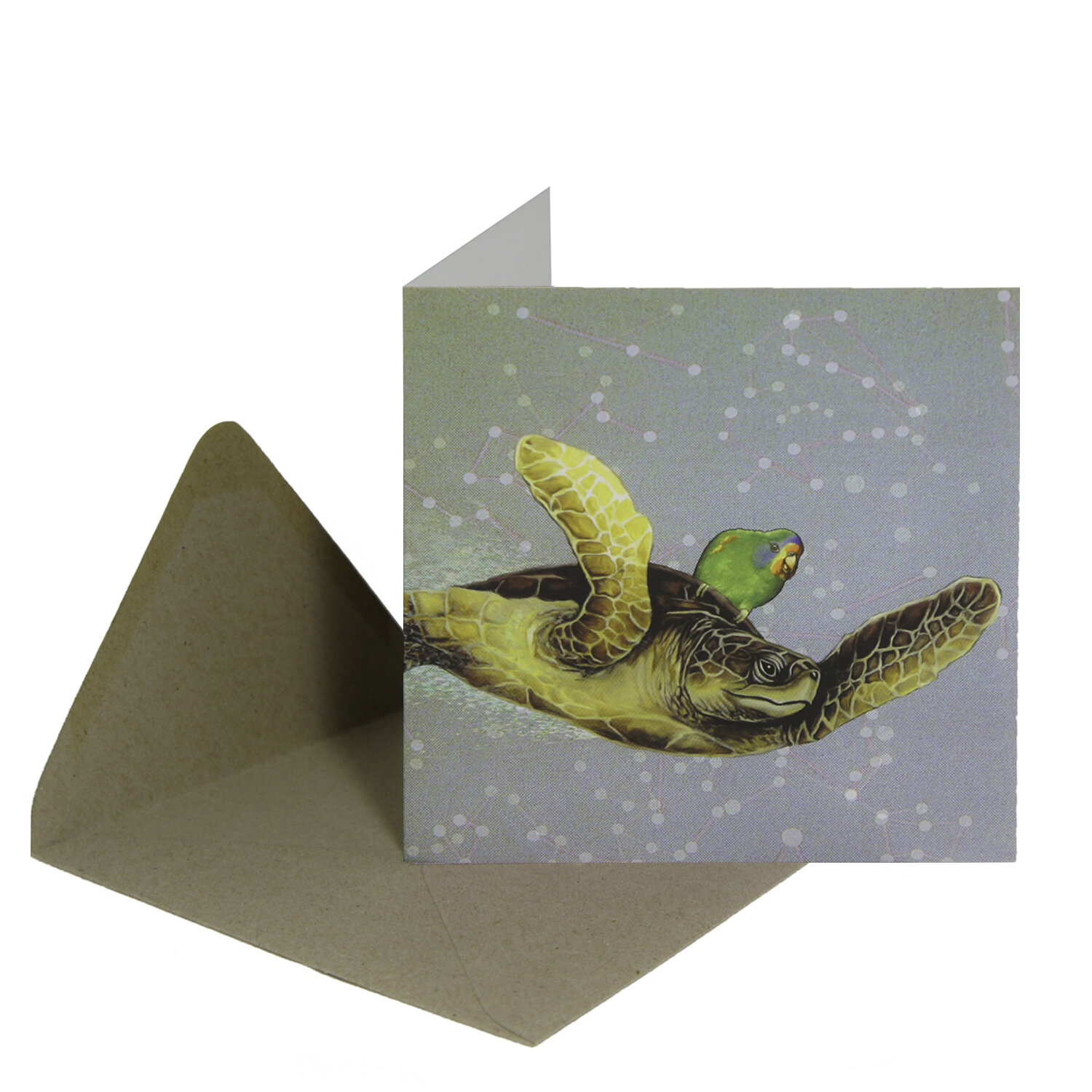 Squared1-TurtleBirdEnvelope_square.jpg