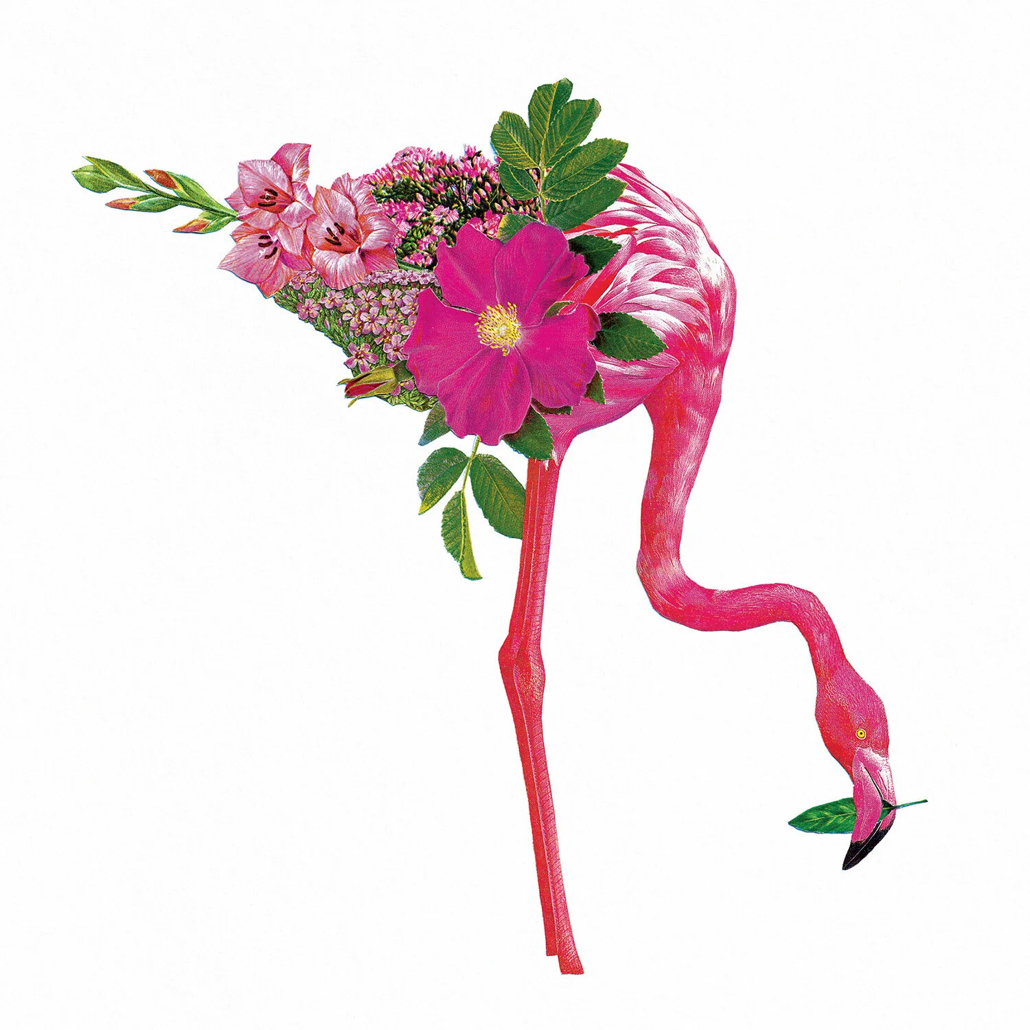 For_the_love_of_botany_2_Front.jpg
