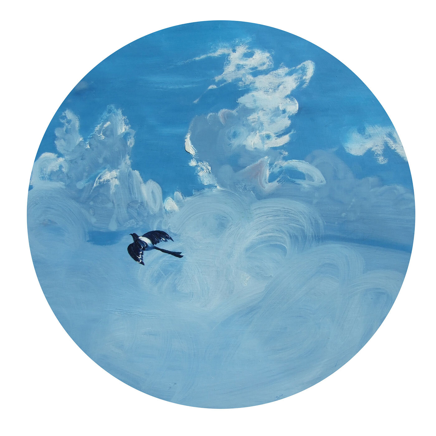 Magpie into Clouds
