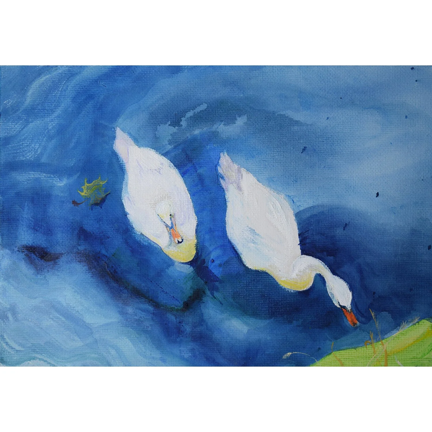 Swans Approaching Bank