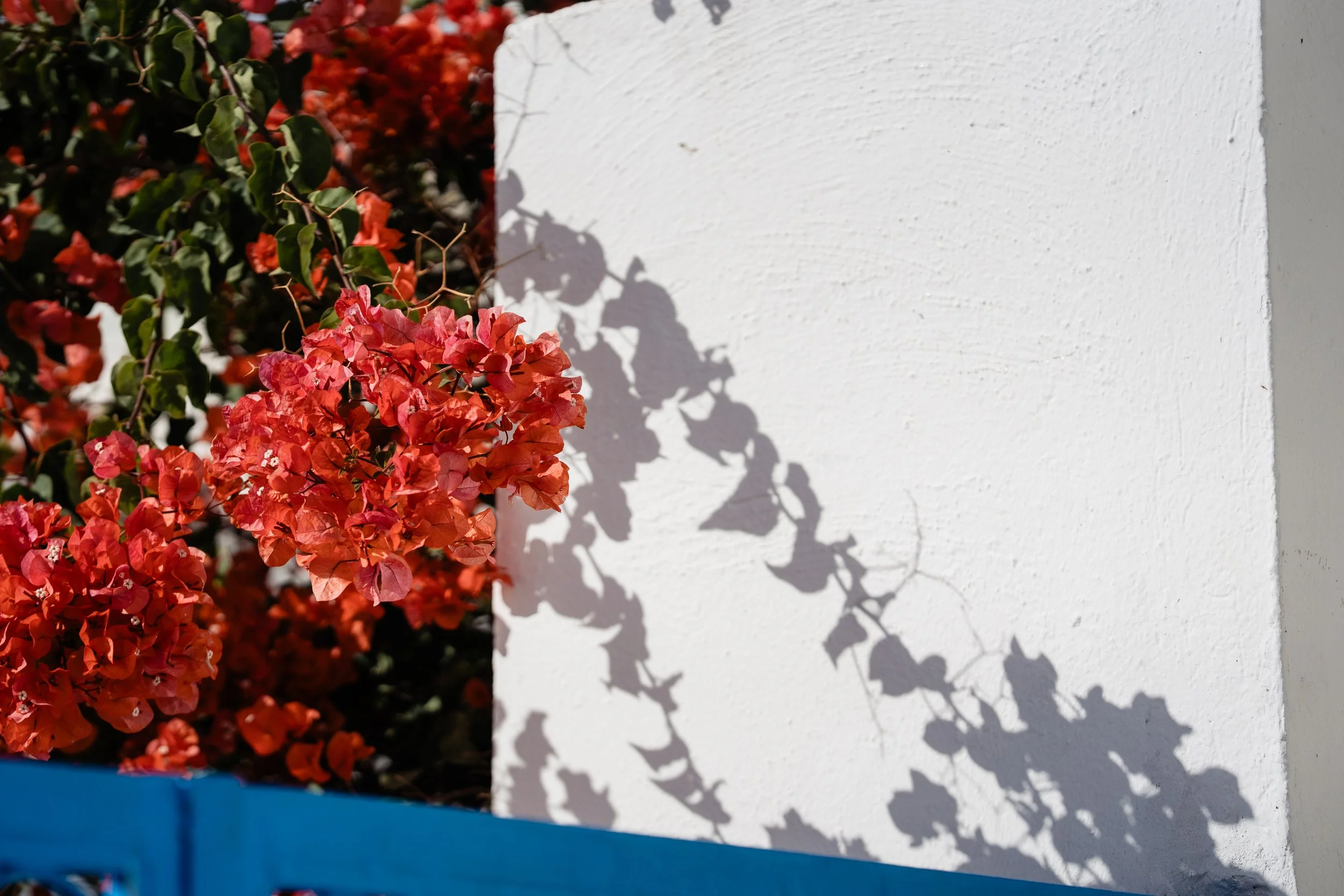 9 Things You Told Me: Quotes from Believers Working in North Africa (Part 1)&nbsp;