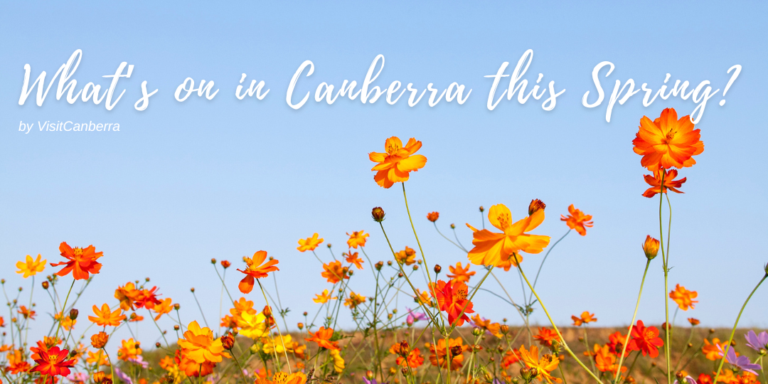 What's on in Canberra this Spring 2025