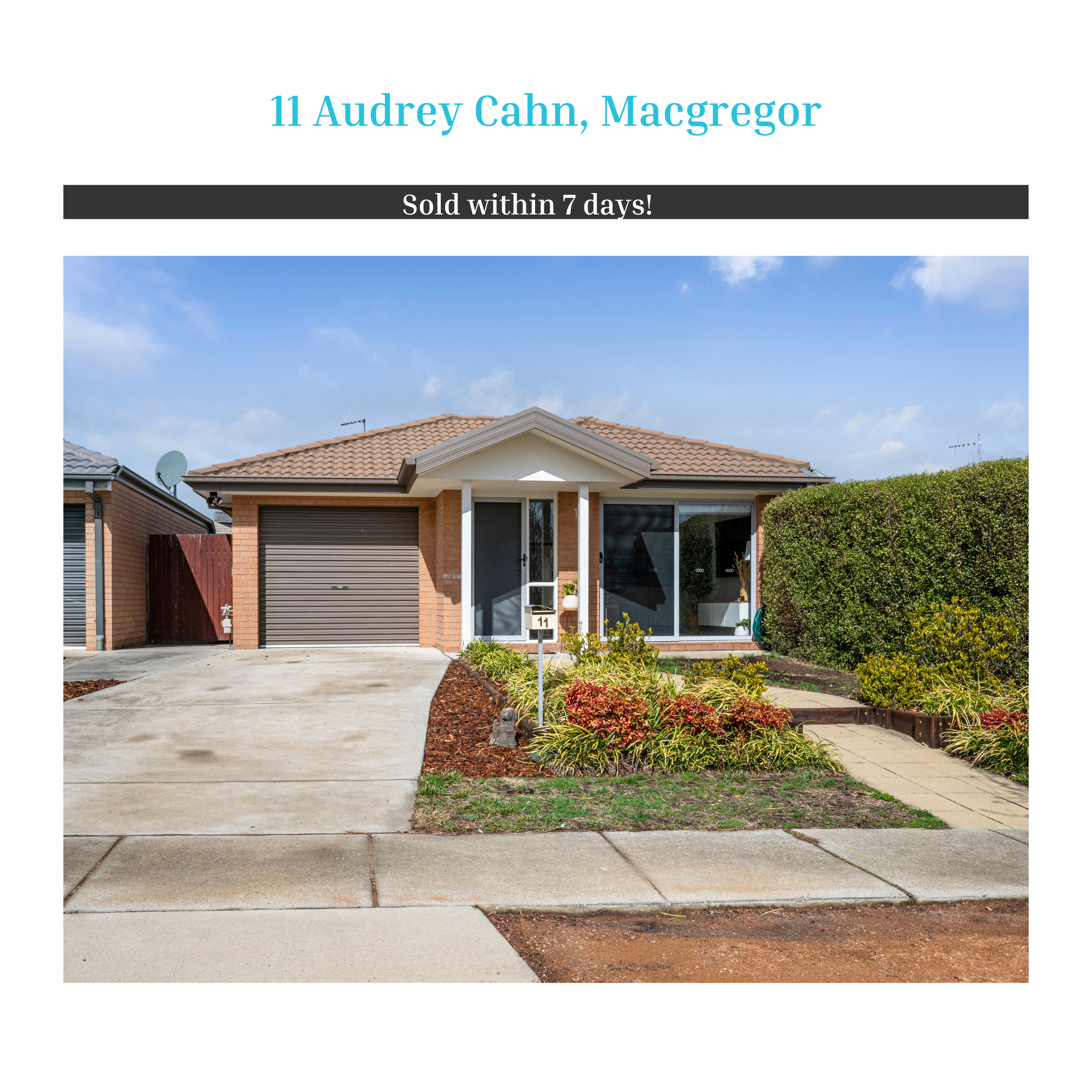 SP-11 Audrey Cahn, Macgregor.png