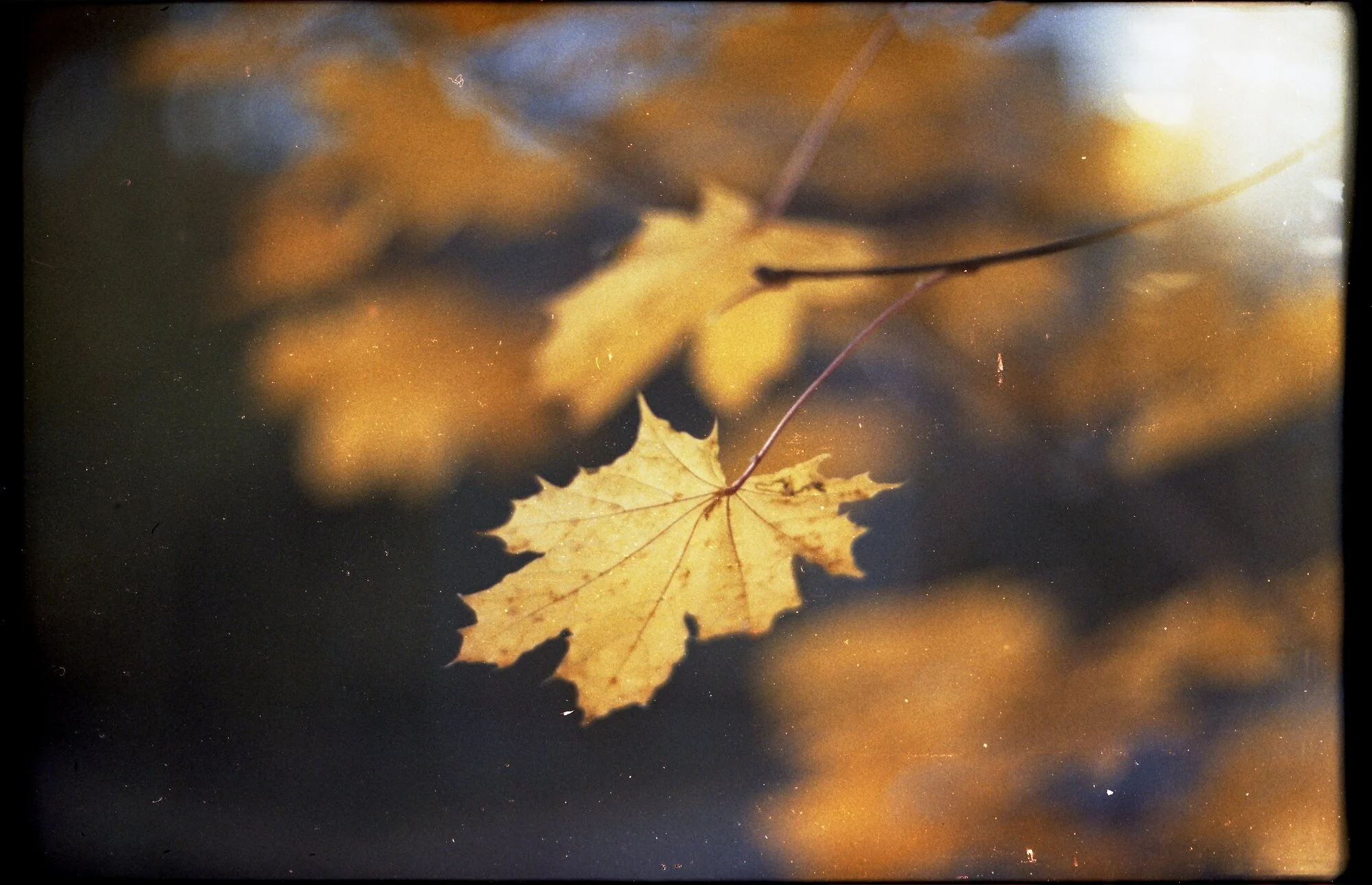 Colours of October