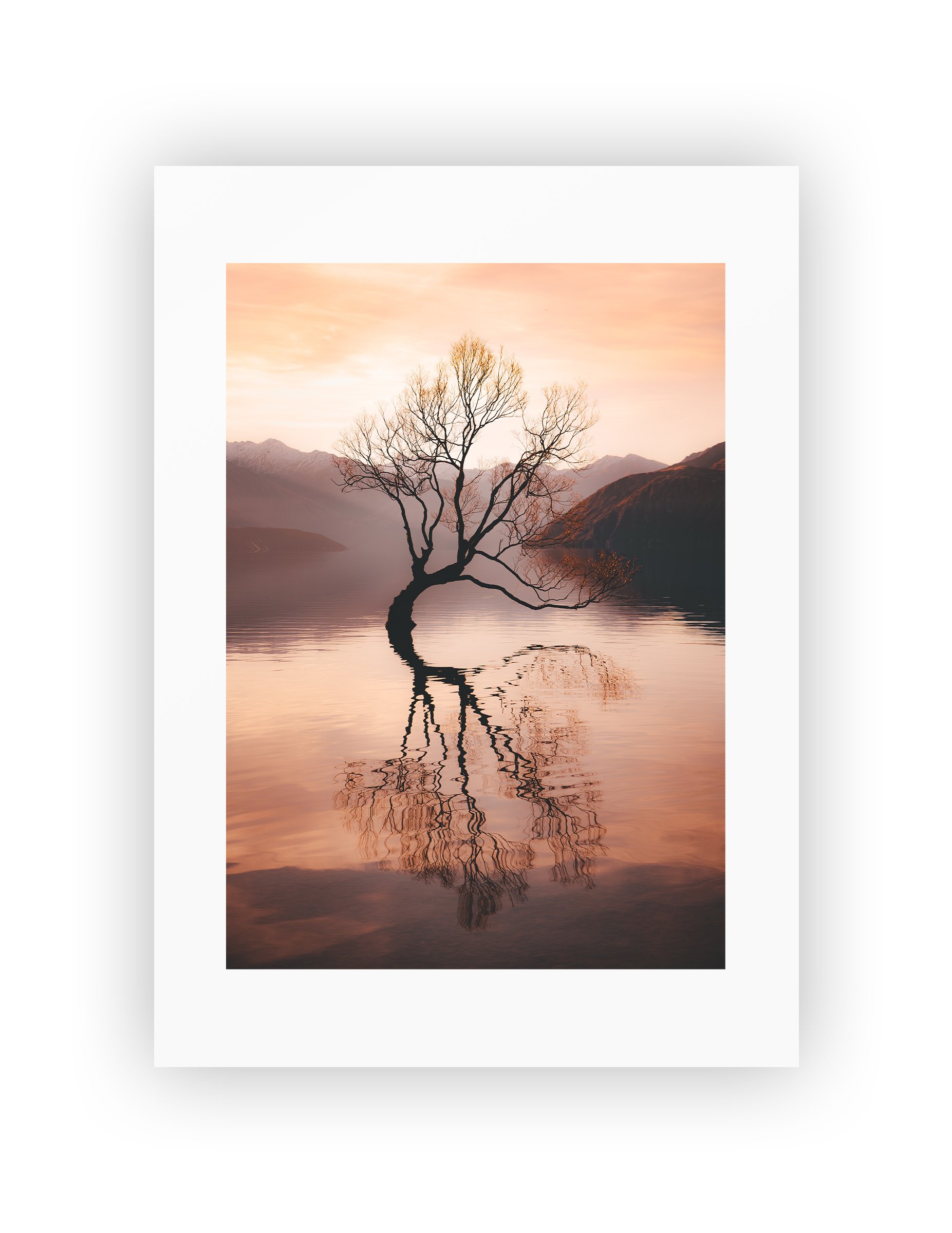 NO FRAME_WanakaTree.jpg