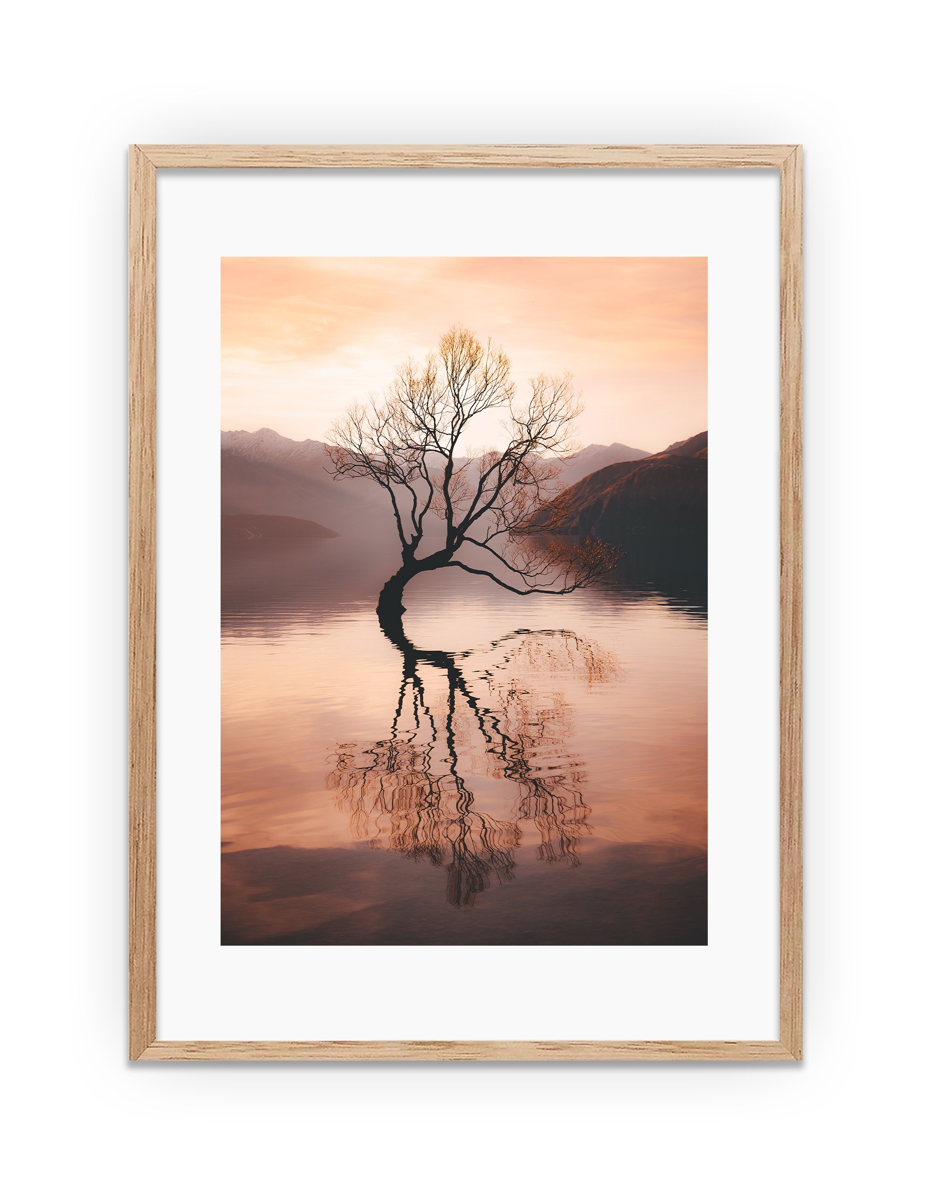 VICASH_WanakaTree.jpg