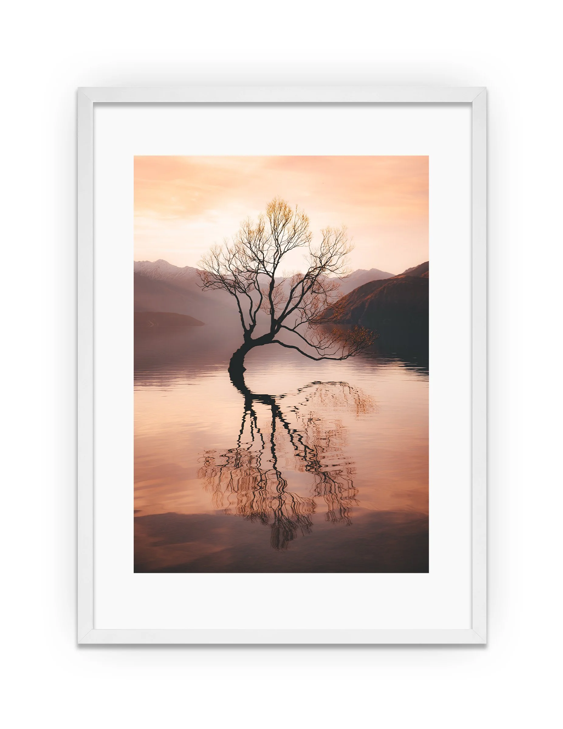 WHITE_WanakaTree.jpg