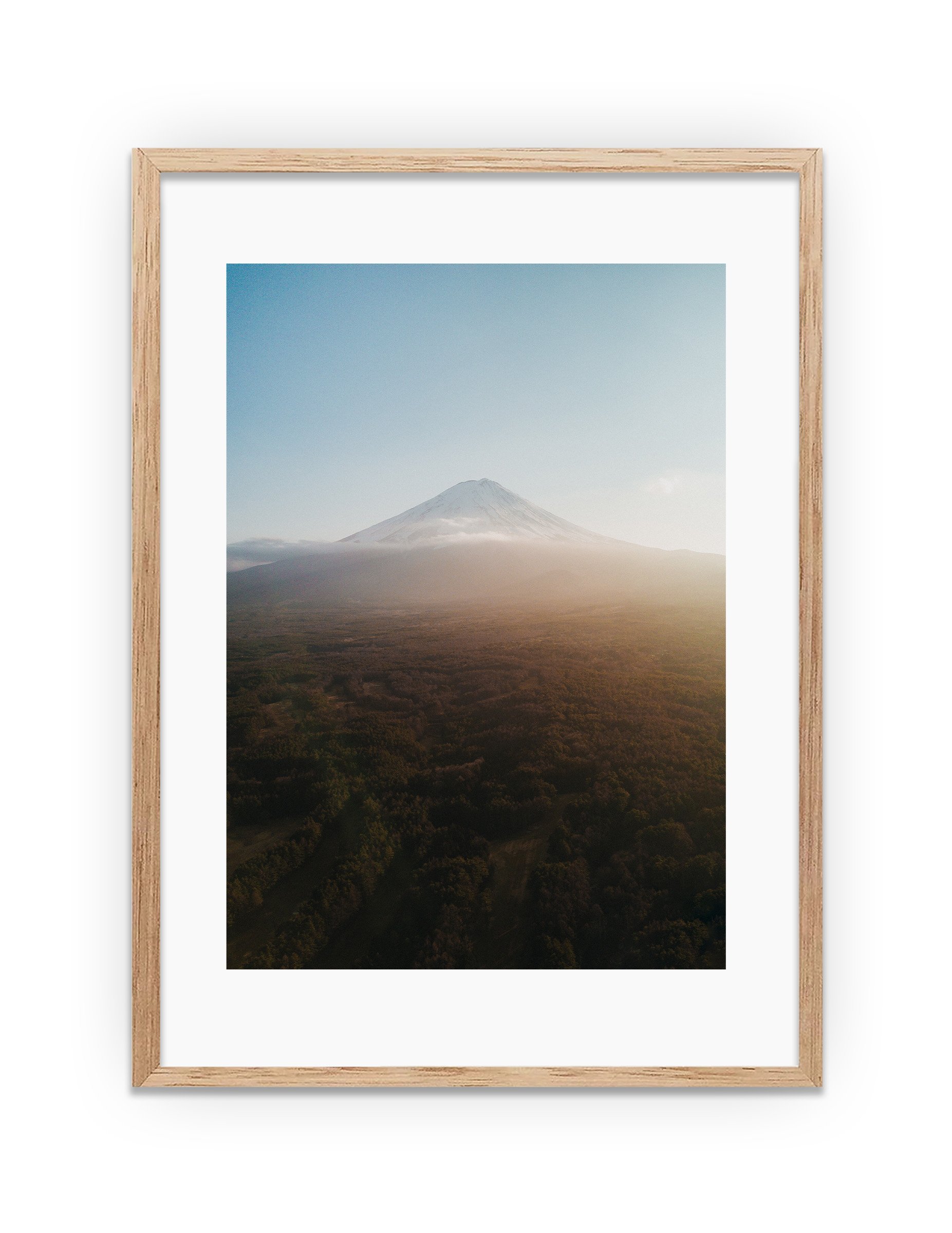 VICASH_MountFuji.jpg