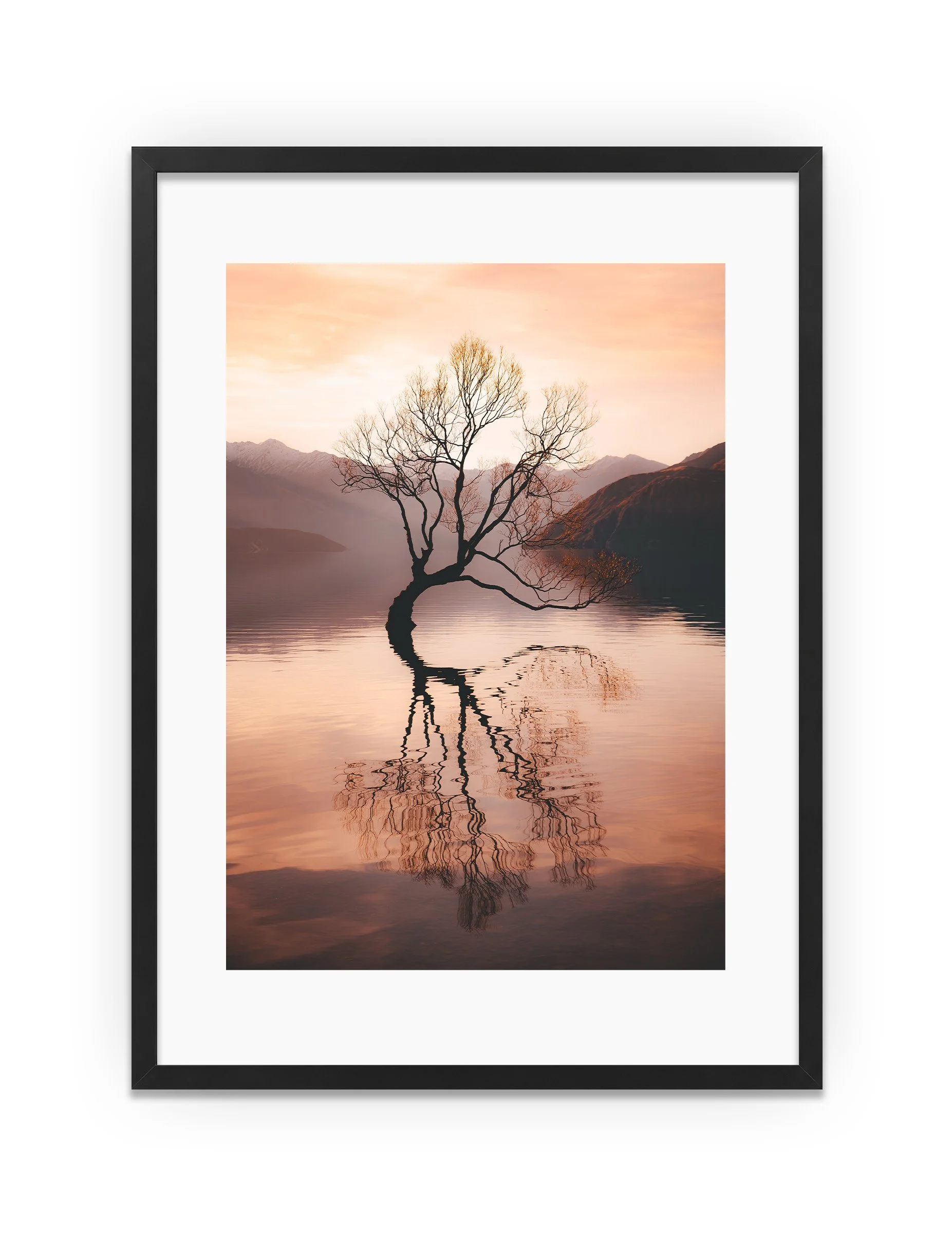 THE WANAKA TREE