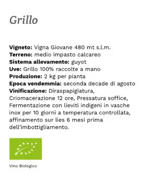Grillo4_2.jpg