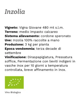 Inzolia3_2.jpg