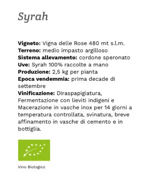 Syrah1_2.jpg