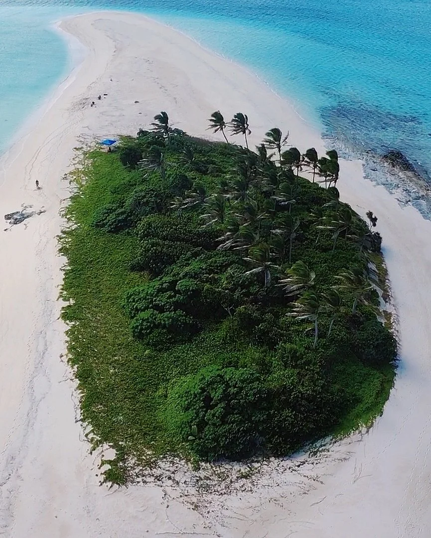 🏝️

#islandvibes